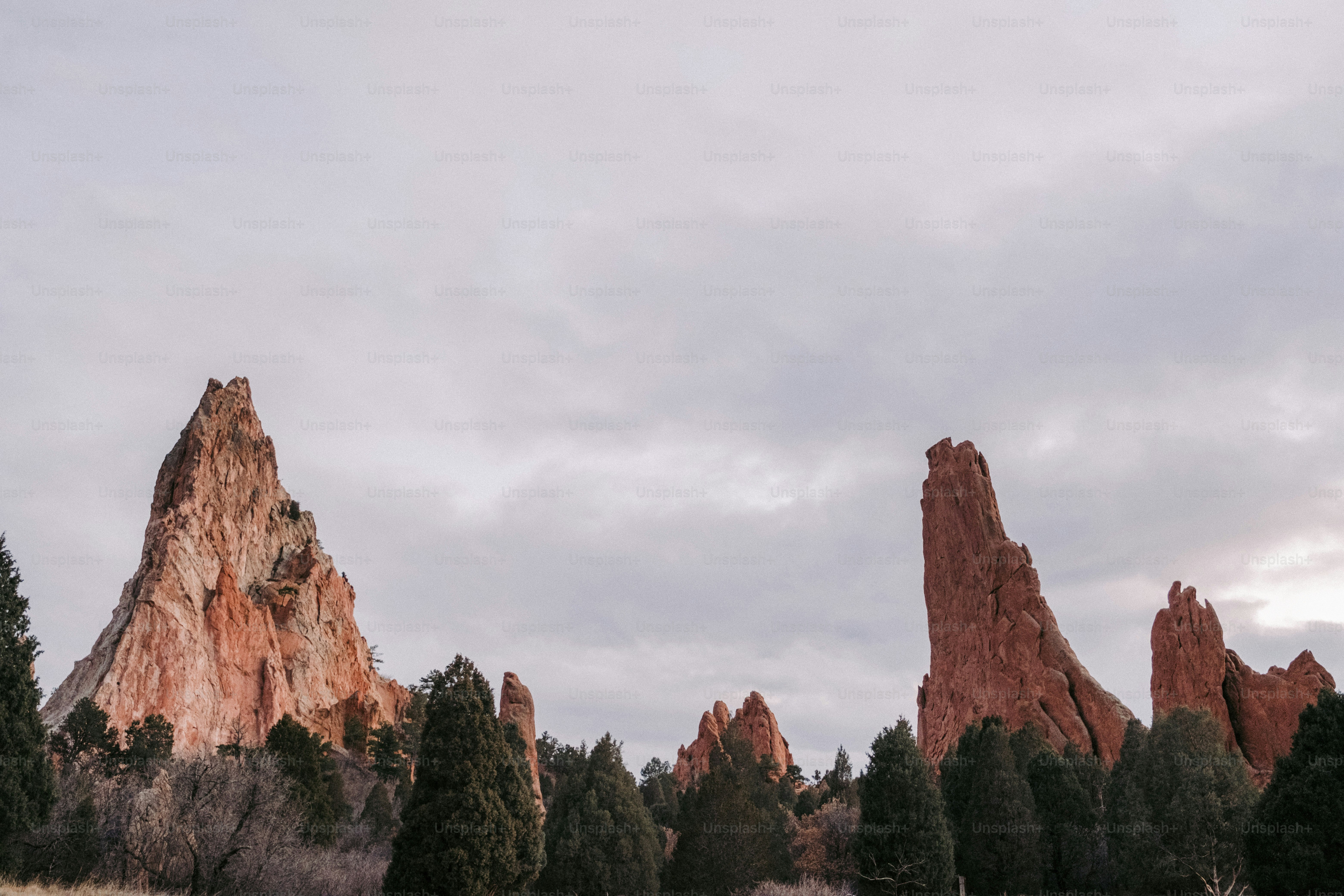 A rocky landscape with trees and mountains in the background photo ...