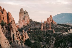 a rocky landscape with trees and mountains in the background