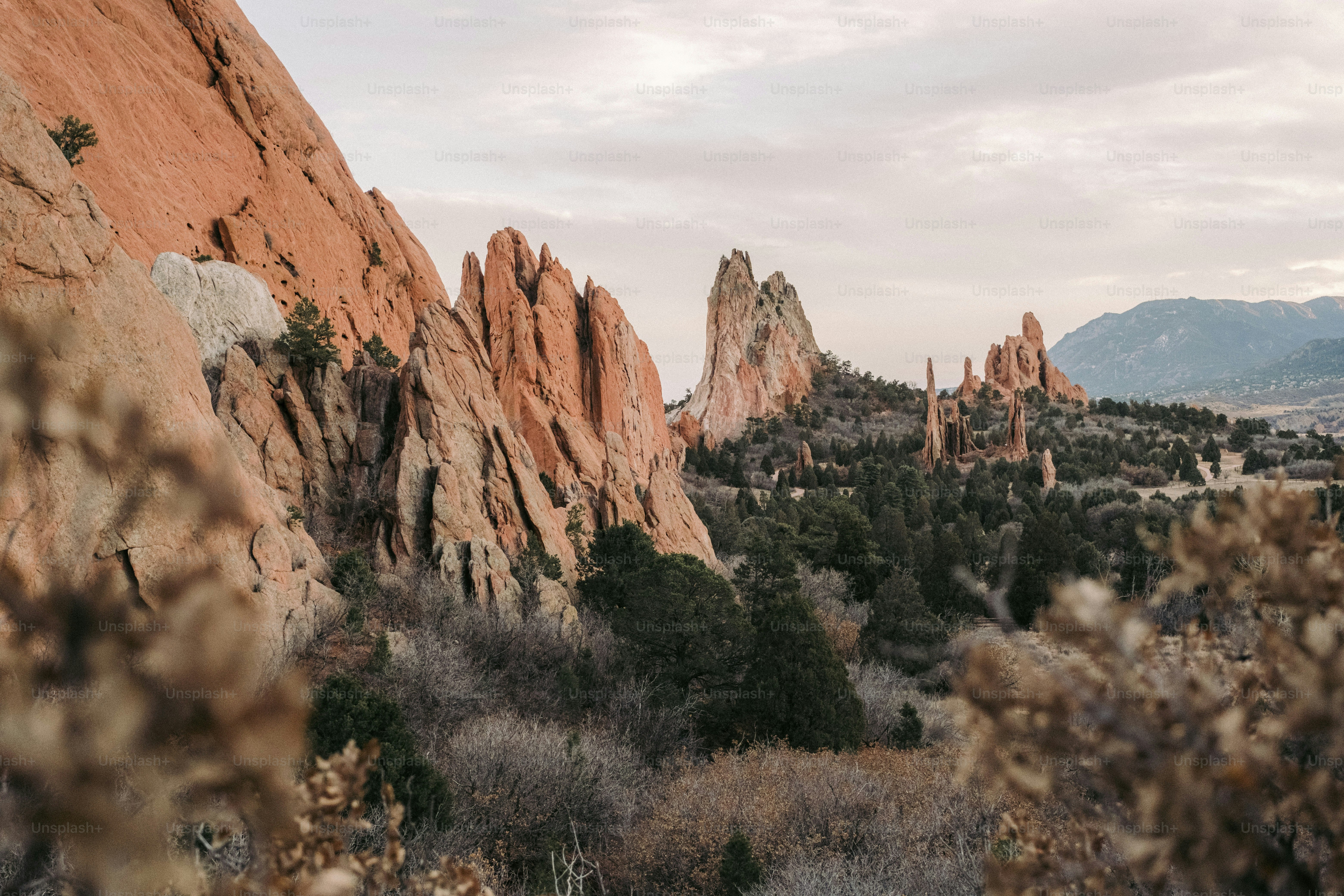 Eine felsige Landschaft mit Bäumen und Bergen im Hintergrund