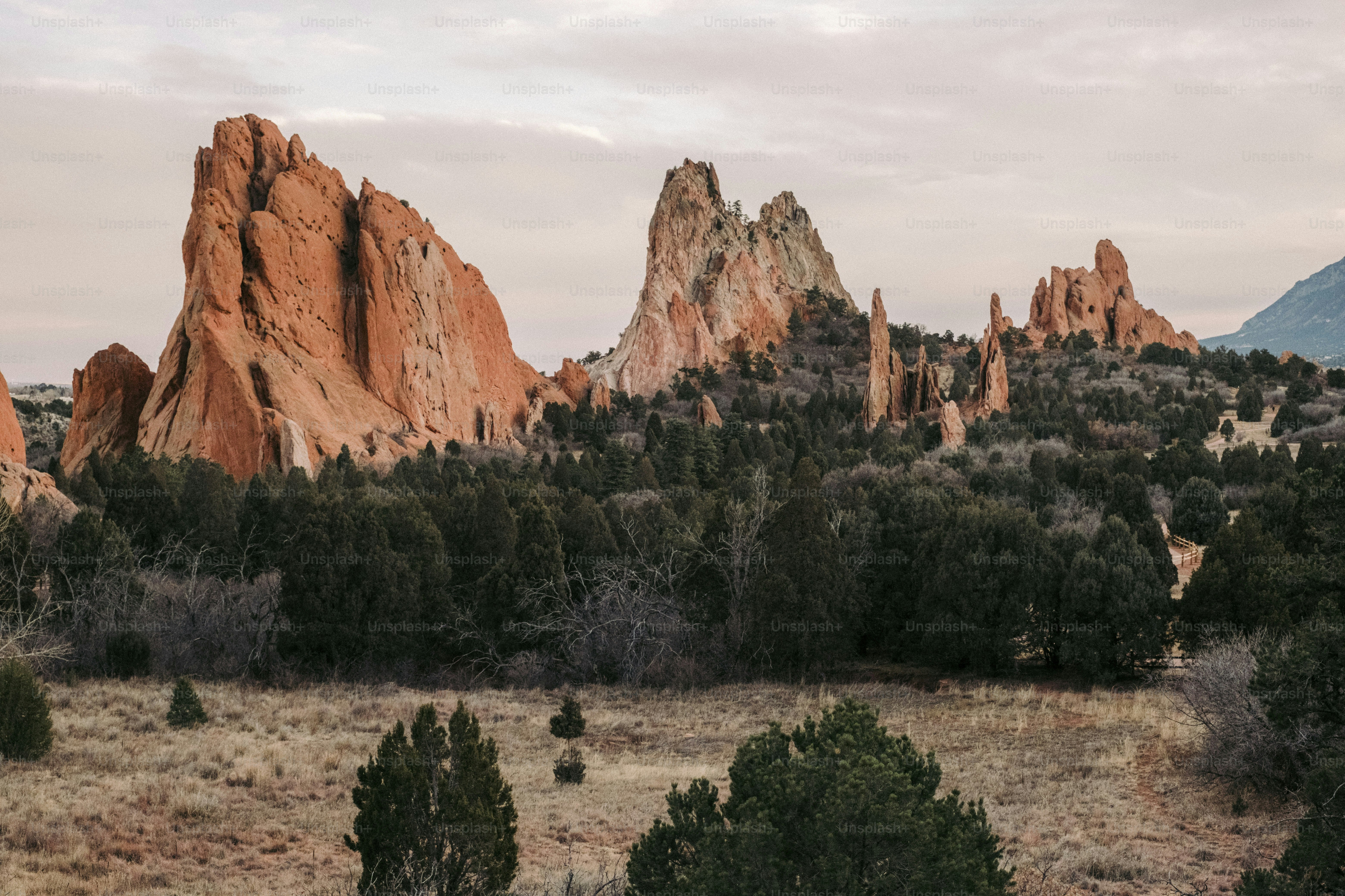 eine Gruppe von Felsen in der Ferne mit Bäumen im Vordergrund