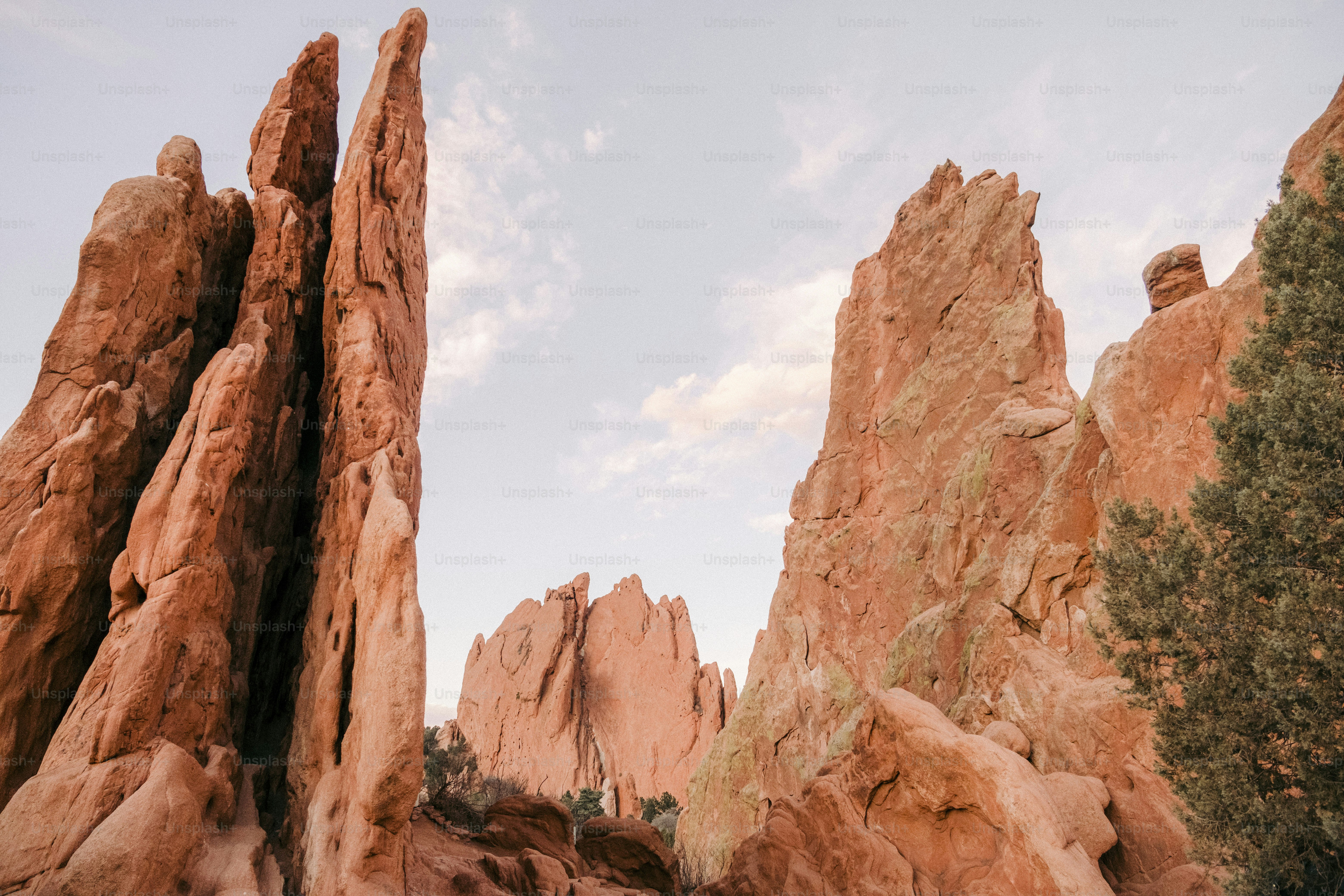 Eine Gruppe großer Felsen, die nebeneinander sitzen