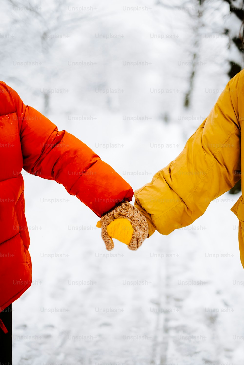 Deux personnes se tenant la main dans la neige