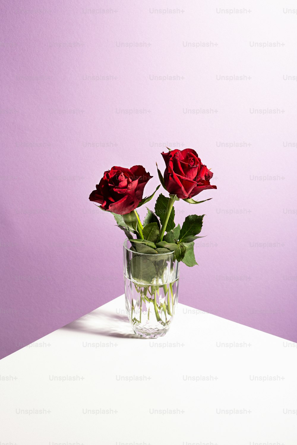 two red roses in a glass vase on a table
