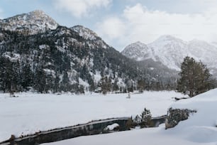 a snowy landscape with mountains in the background