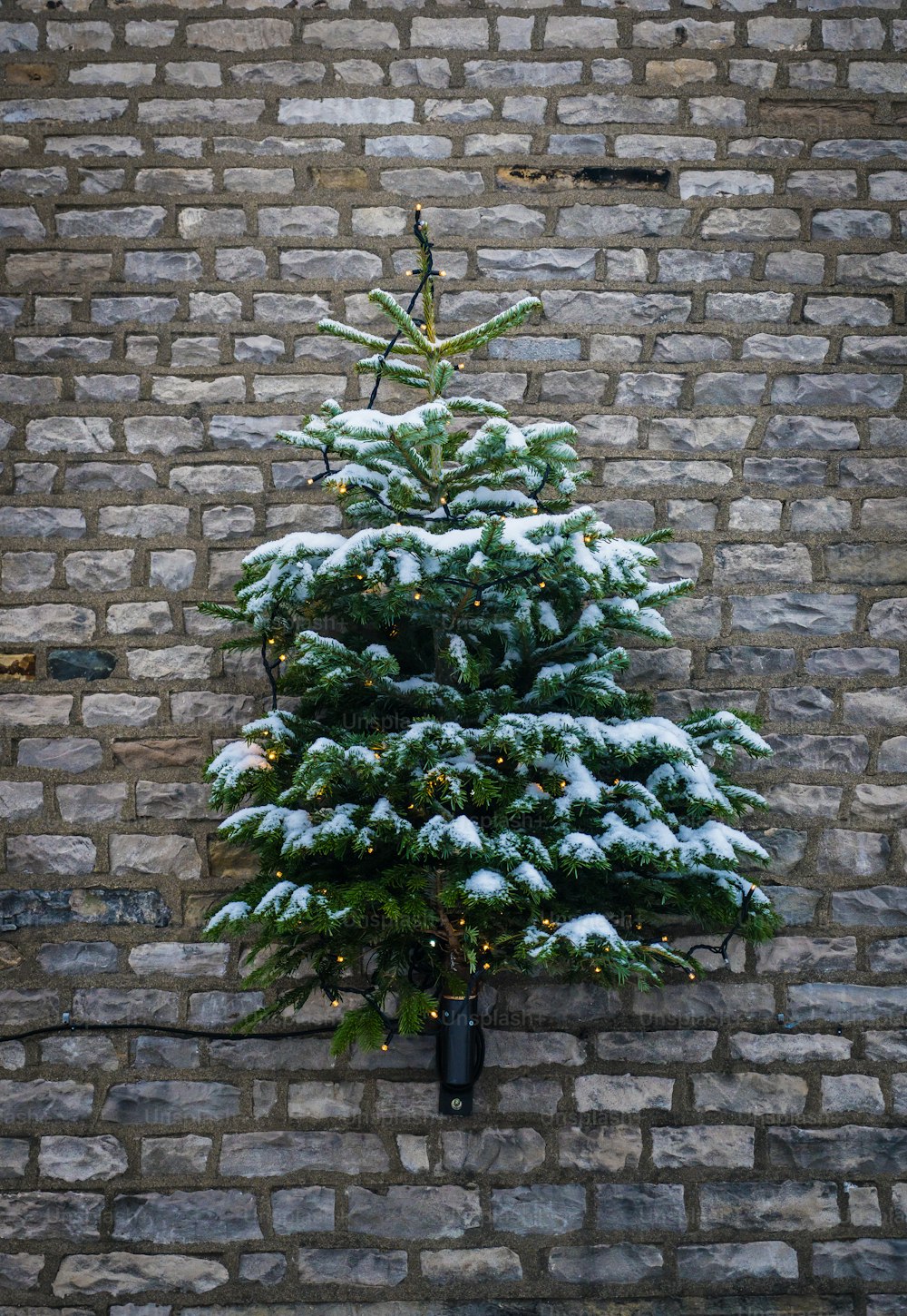 Un piccolo albero di Natale su un muro di mattoni