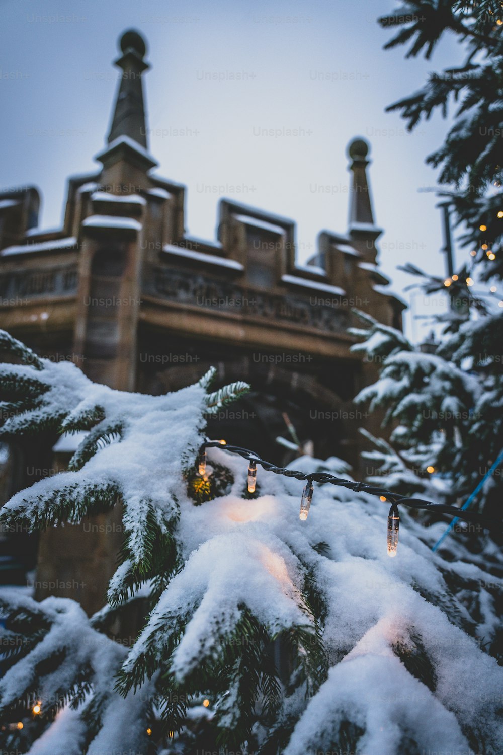 Un árbol de Navidad cubierto de nieve frente a un edificio