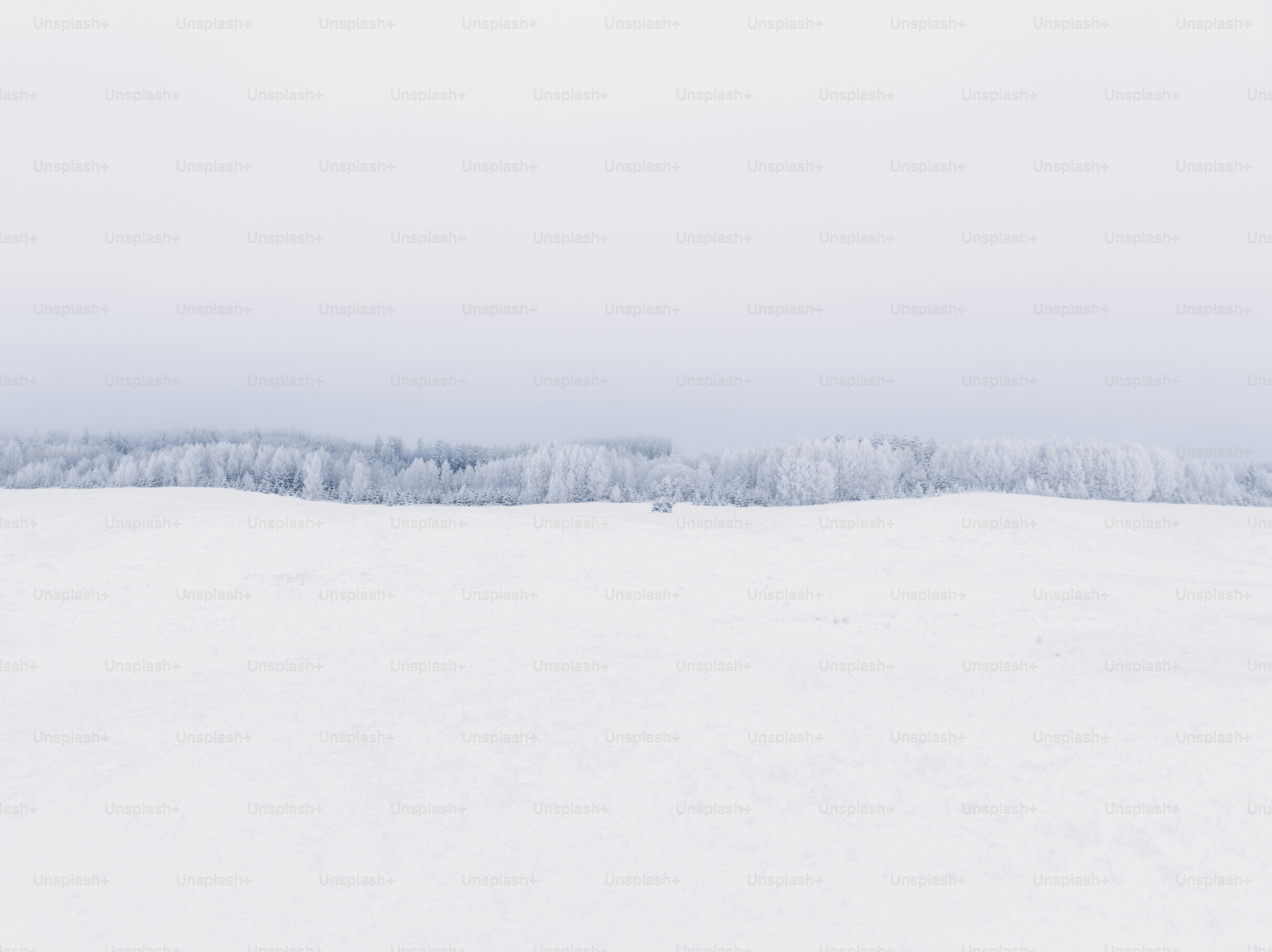 une personne qui skie sur une surface enneigée