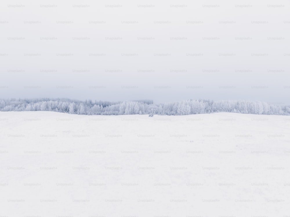 uma pessoa que monta esquis em uma superfície nevada