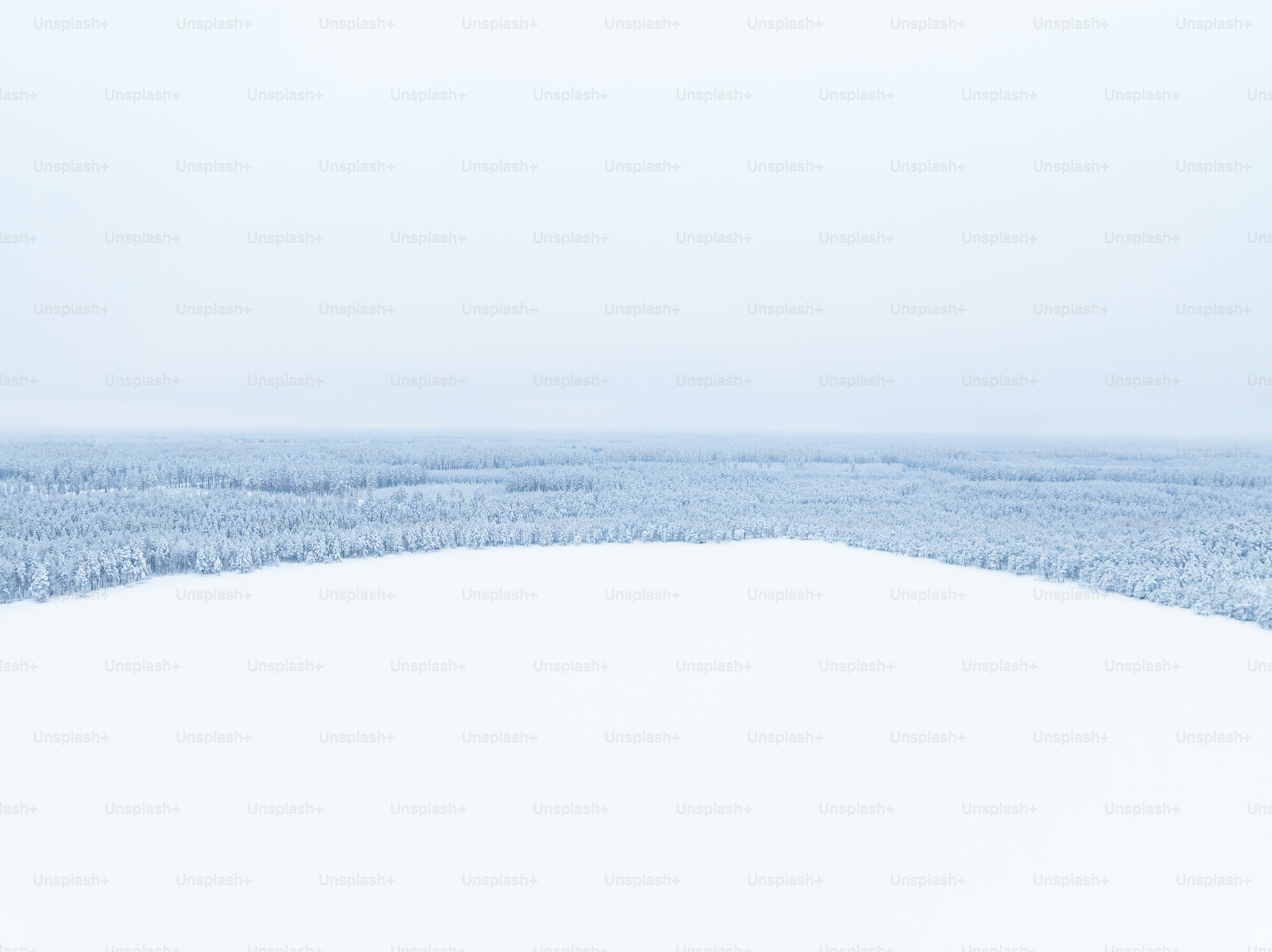 un champ enneigé avec des arbres au loin