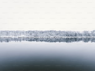 a large body of water surrounded by trees