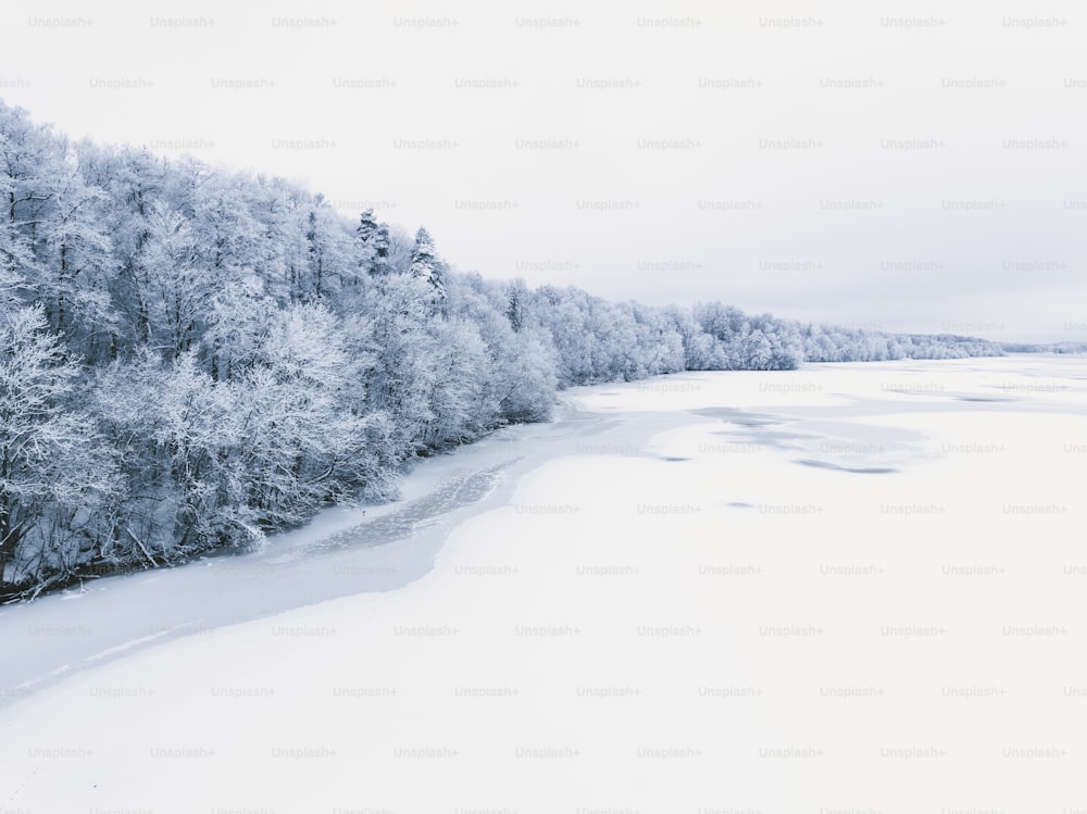 a snowy landscape with trees and a body of water