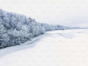 un paysage enneigé avec des arbres et un plan d’eau