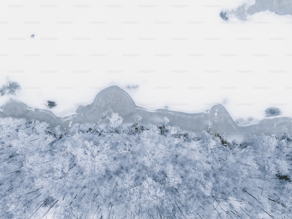 木々と空の背景に雪に覆われた風景