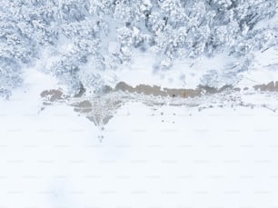 an aerial view of a snow covered forest