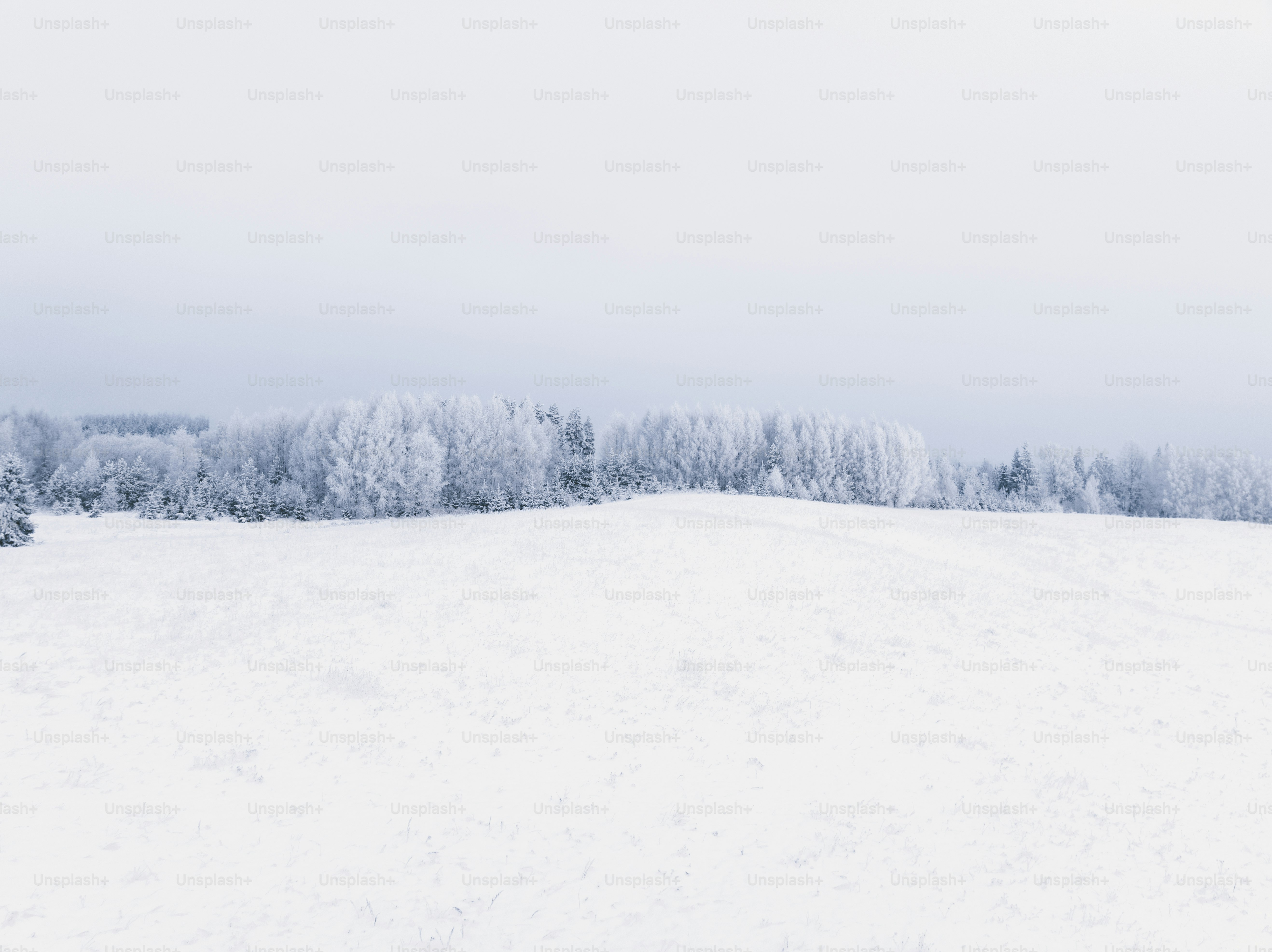 une personne qui skie sur une surface enneigée