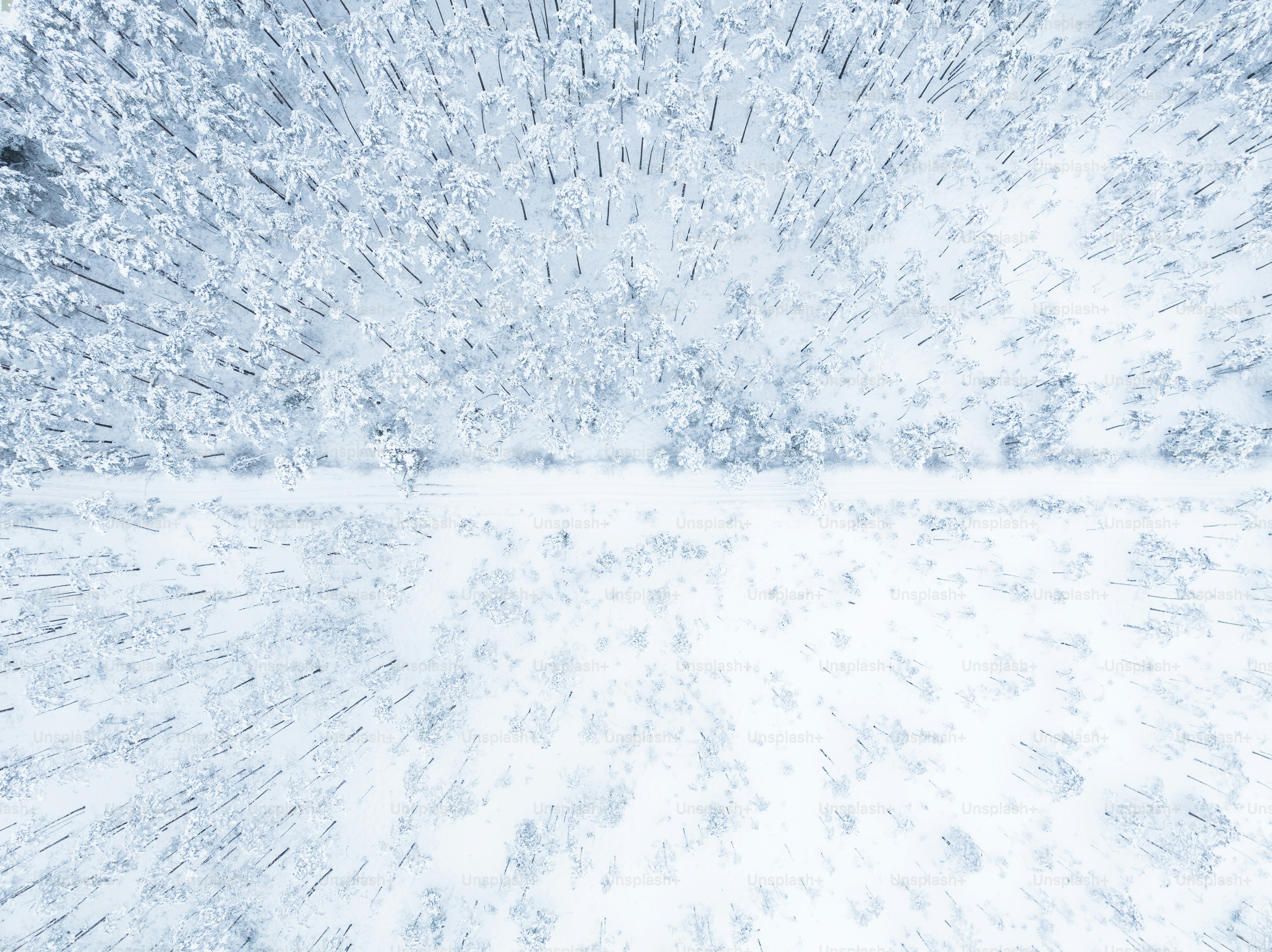 une photo en blanc et noir d’un champ enneigé