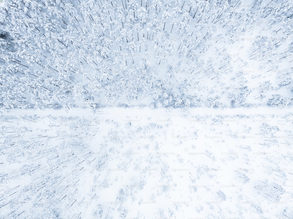 雪に覆われた野原の白と黒の写真