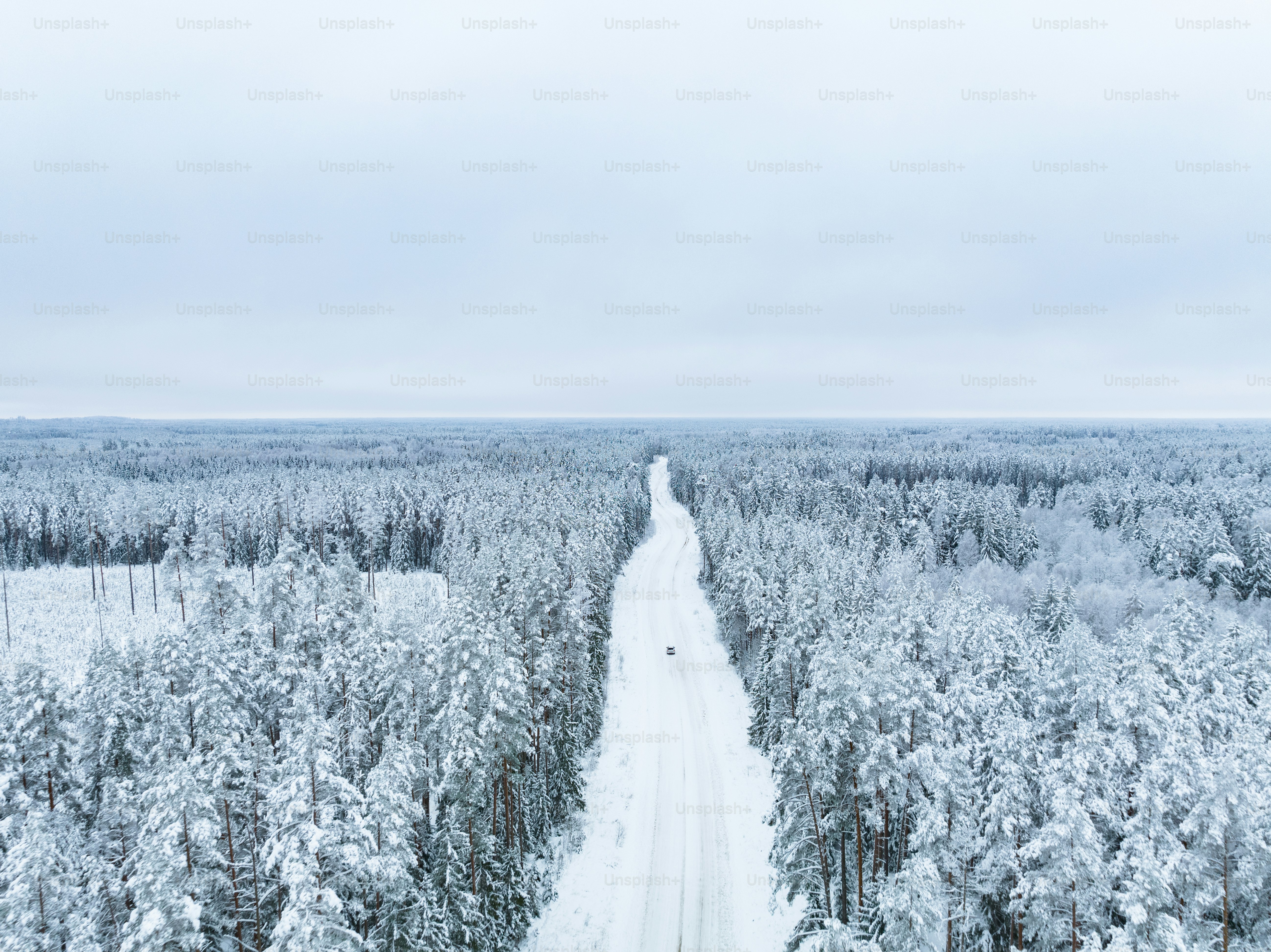 An aerial view of a snow covered forest photo – Snow Image on Unsplash