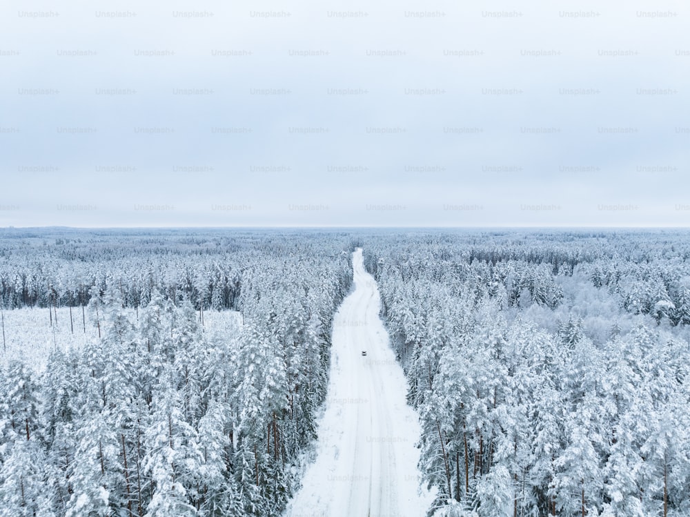 an aerial view of a snow covered forest