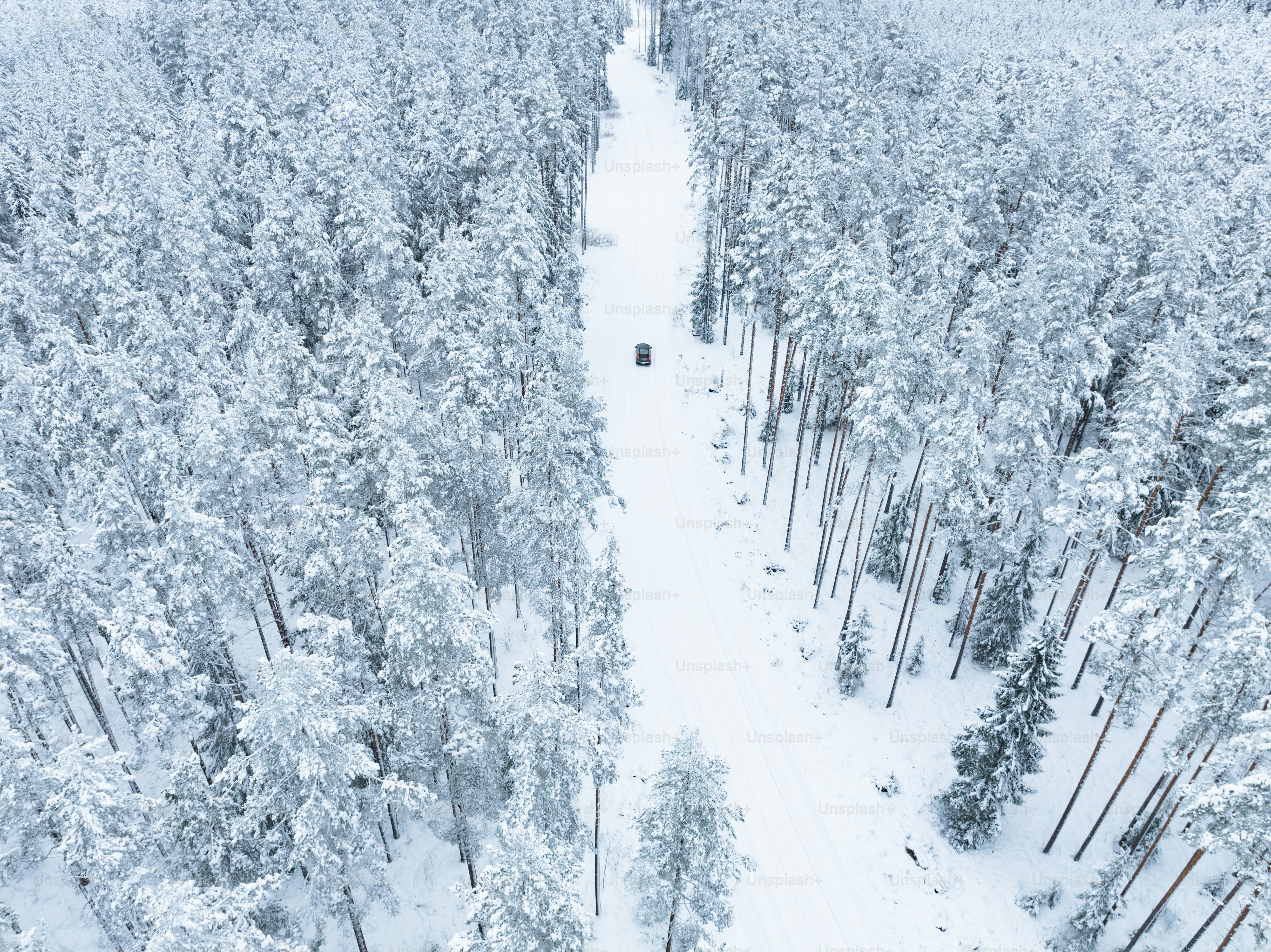 An aerial view of a snow covered forest photo – Snow Image on Unsplash