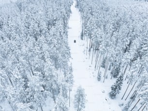 an aerial view of a snow covered forest