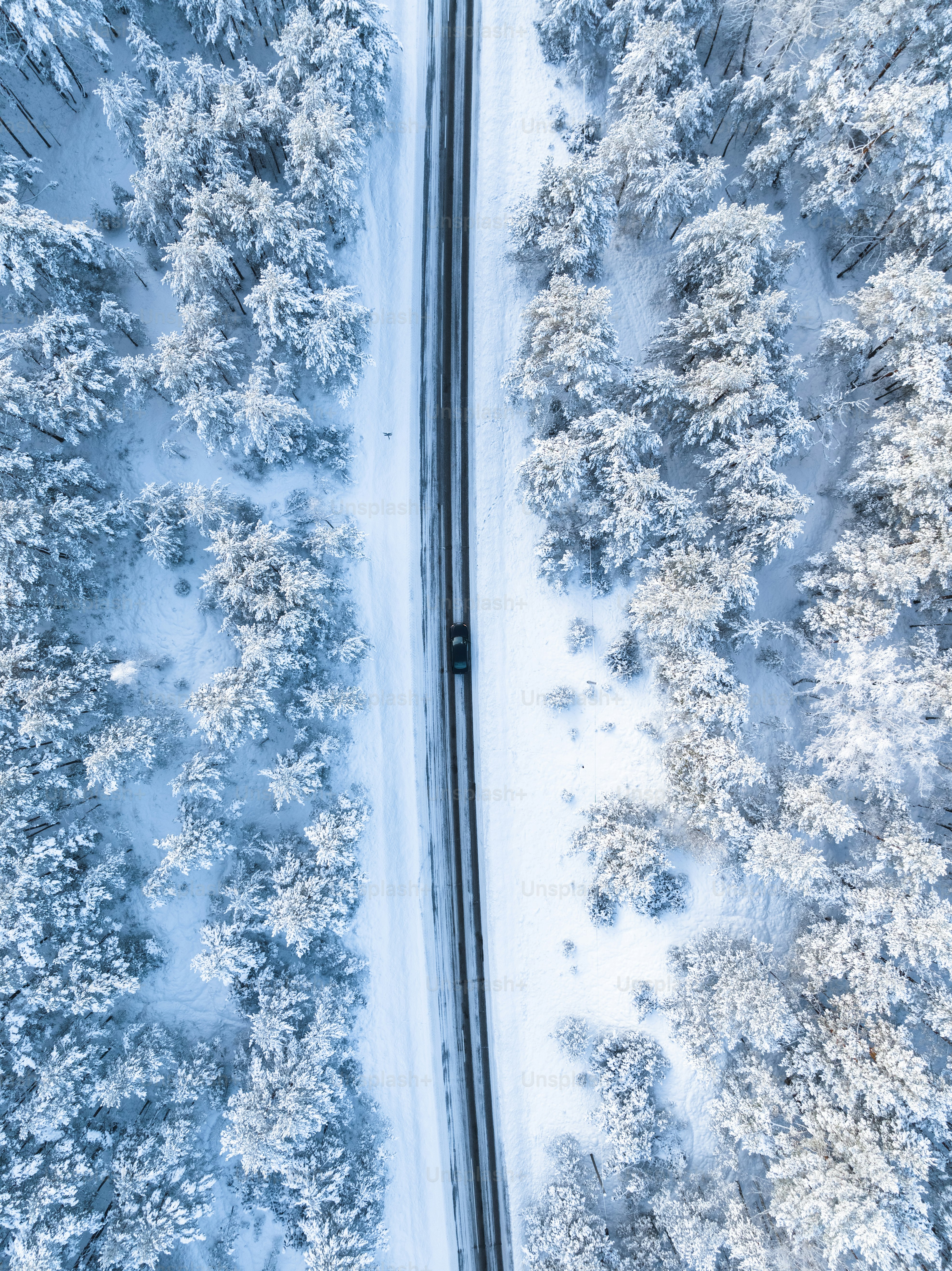 Vue aérienne d’une route au milieu d’une forêt enneigée