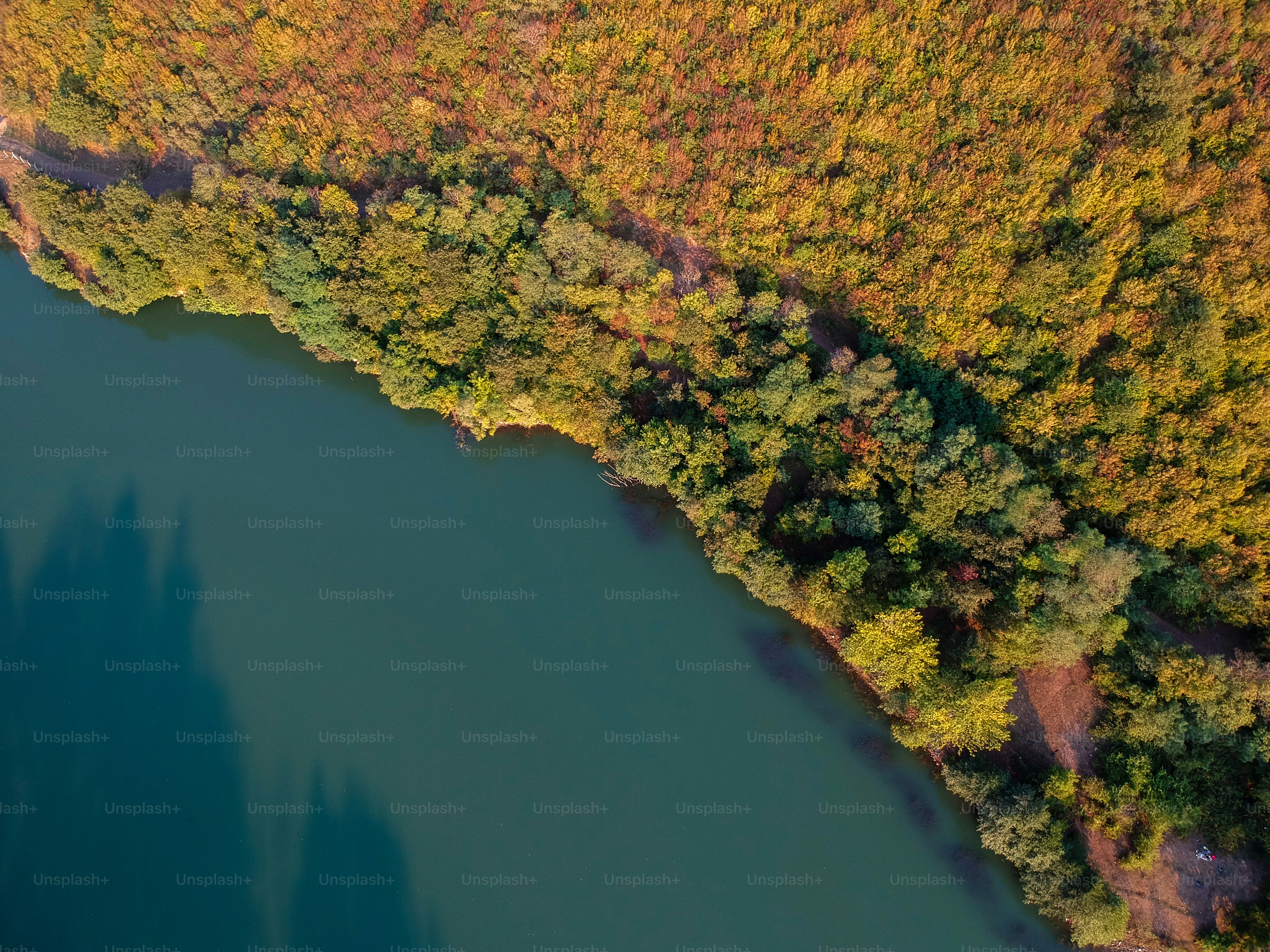 une vue aérienne d’un lac entouré d’arbres