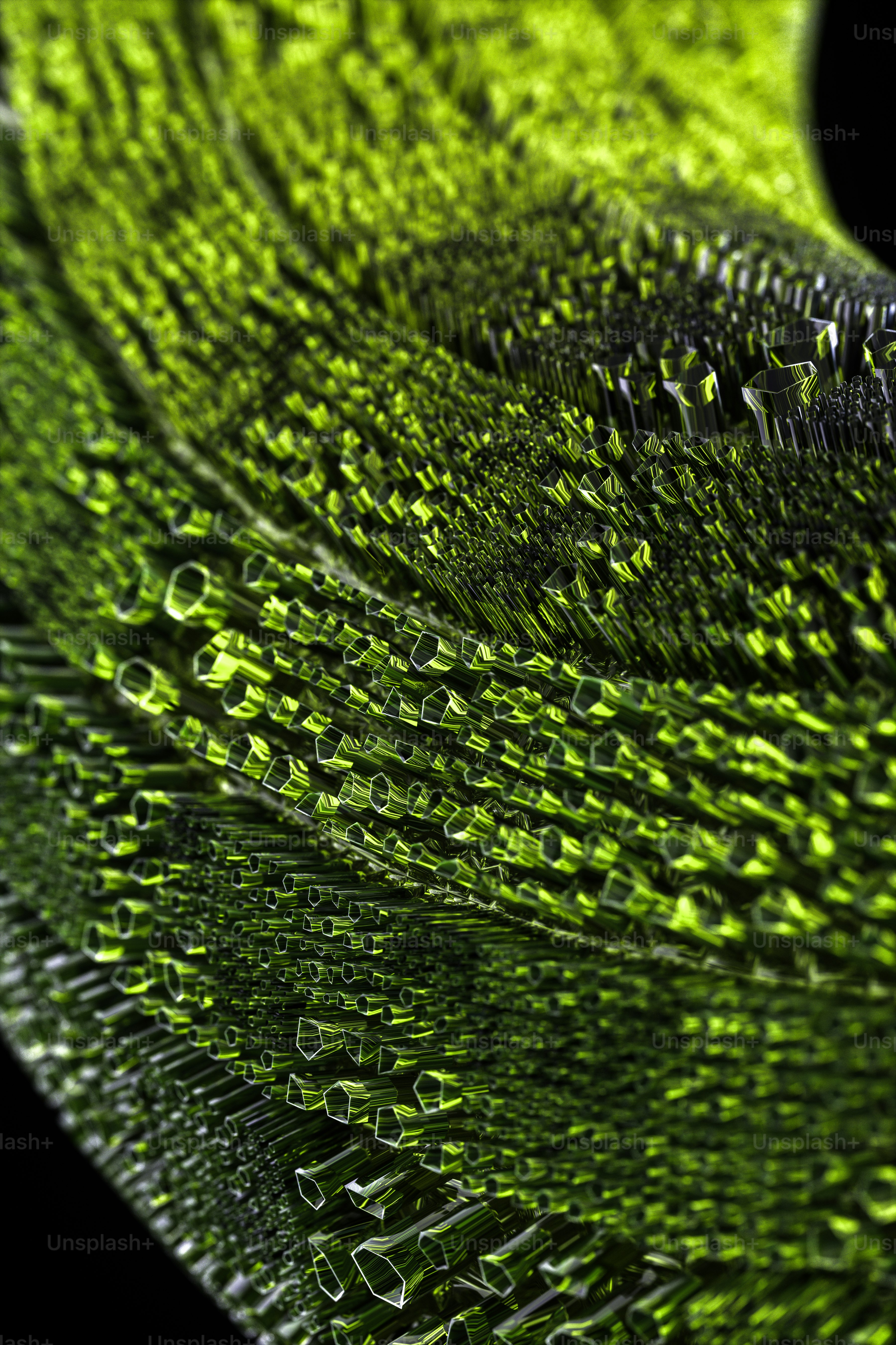 a close up view of a green leaf