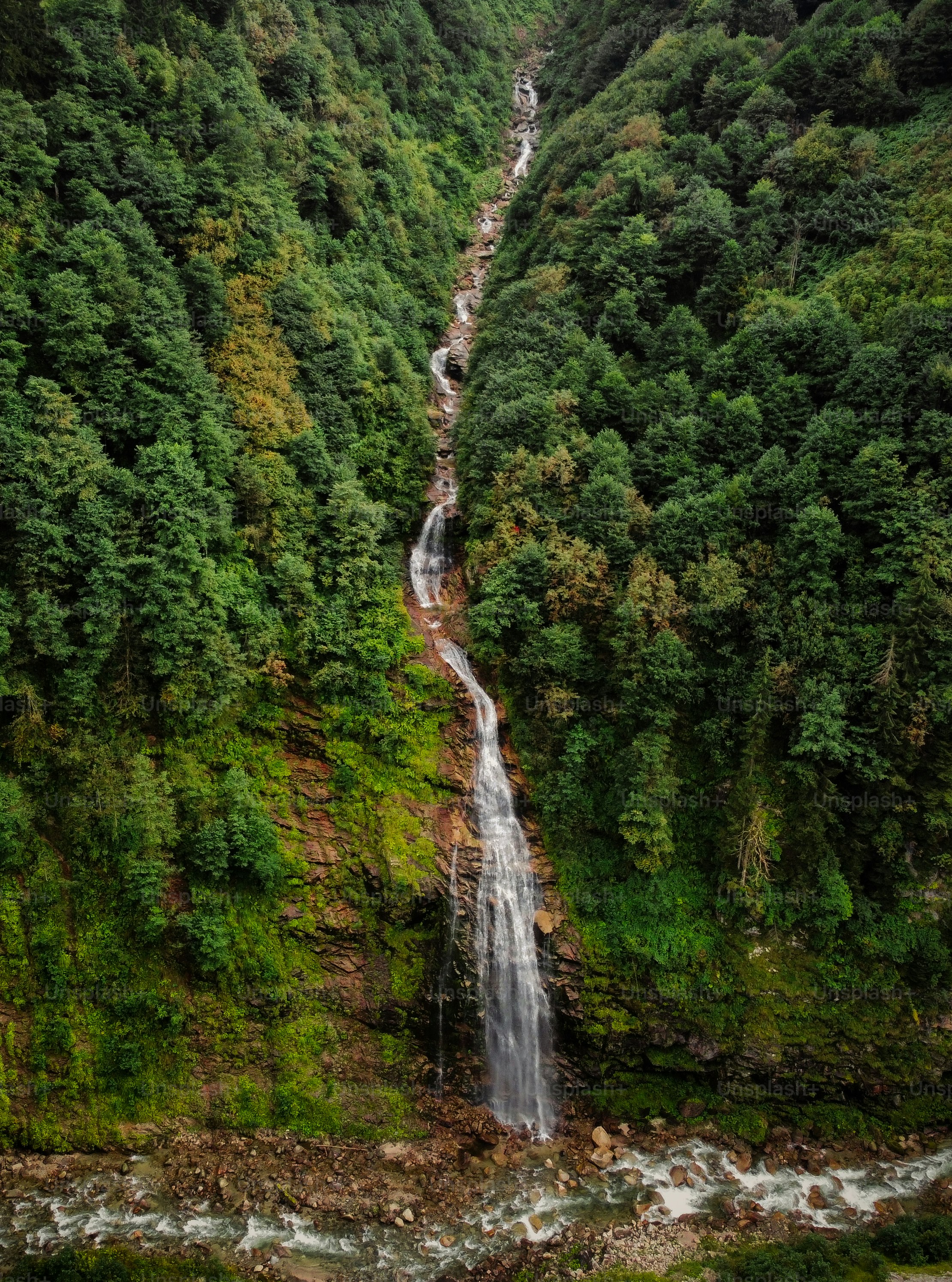 Una cascada en medio de un bosque