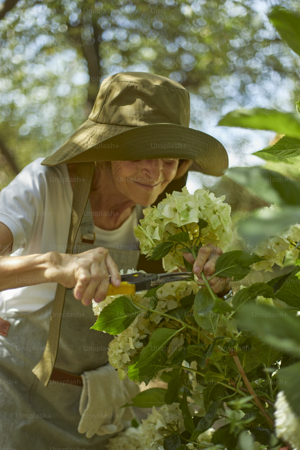 a woman cutting flowers with a pair of scissors