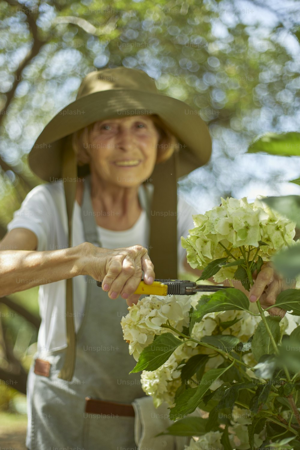 uma mulher em um chapéu cortando flores com um par de tesouras