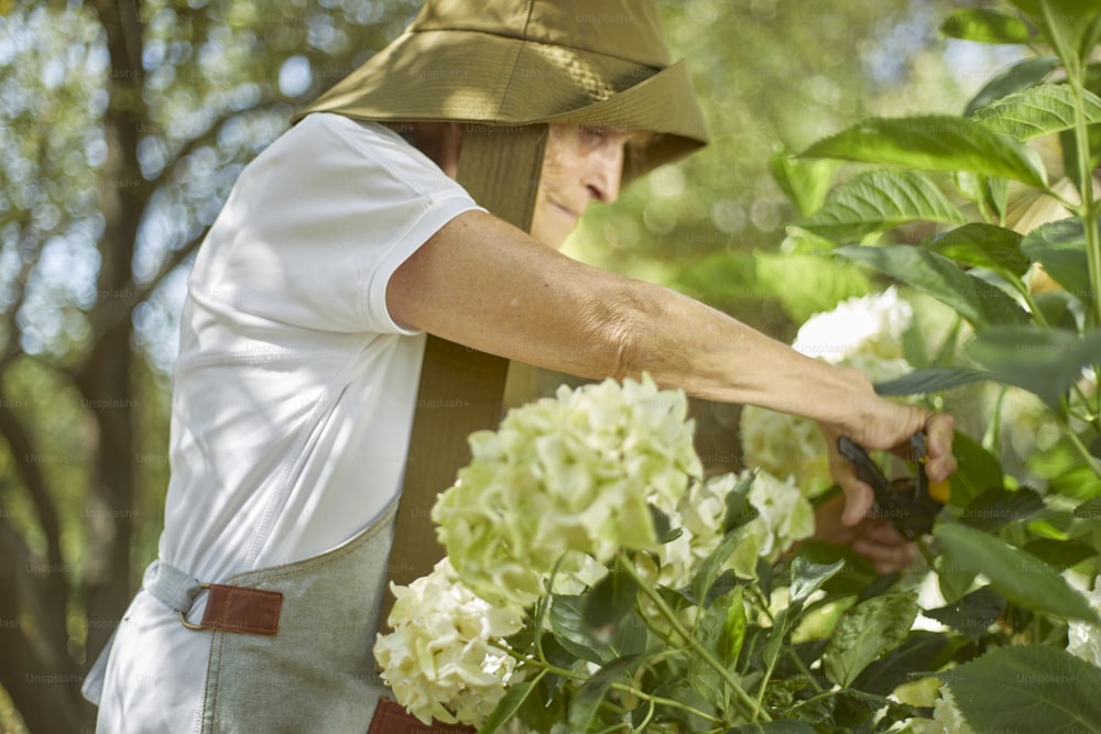 Une femme coiffée d’un chapeau cueille des fleurs dans un buisson