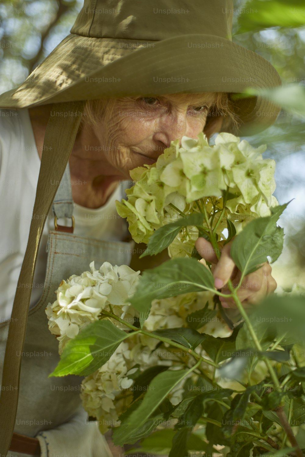 a woman in a hat smelling a bush with white flowers