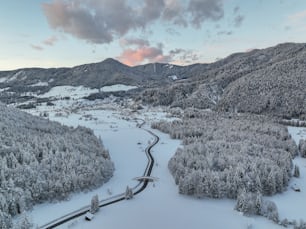 a winding road in the middle of a snow covered forest