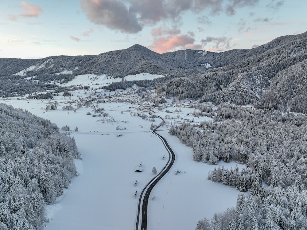 uma estrada sinuosa no meio de uma floresta nevada