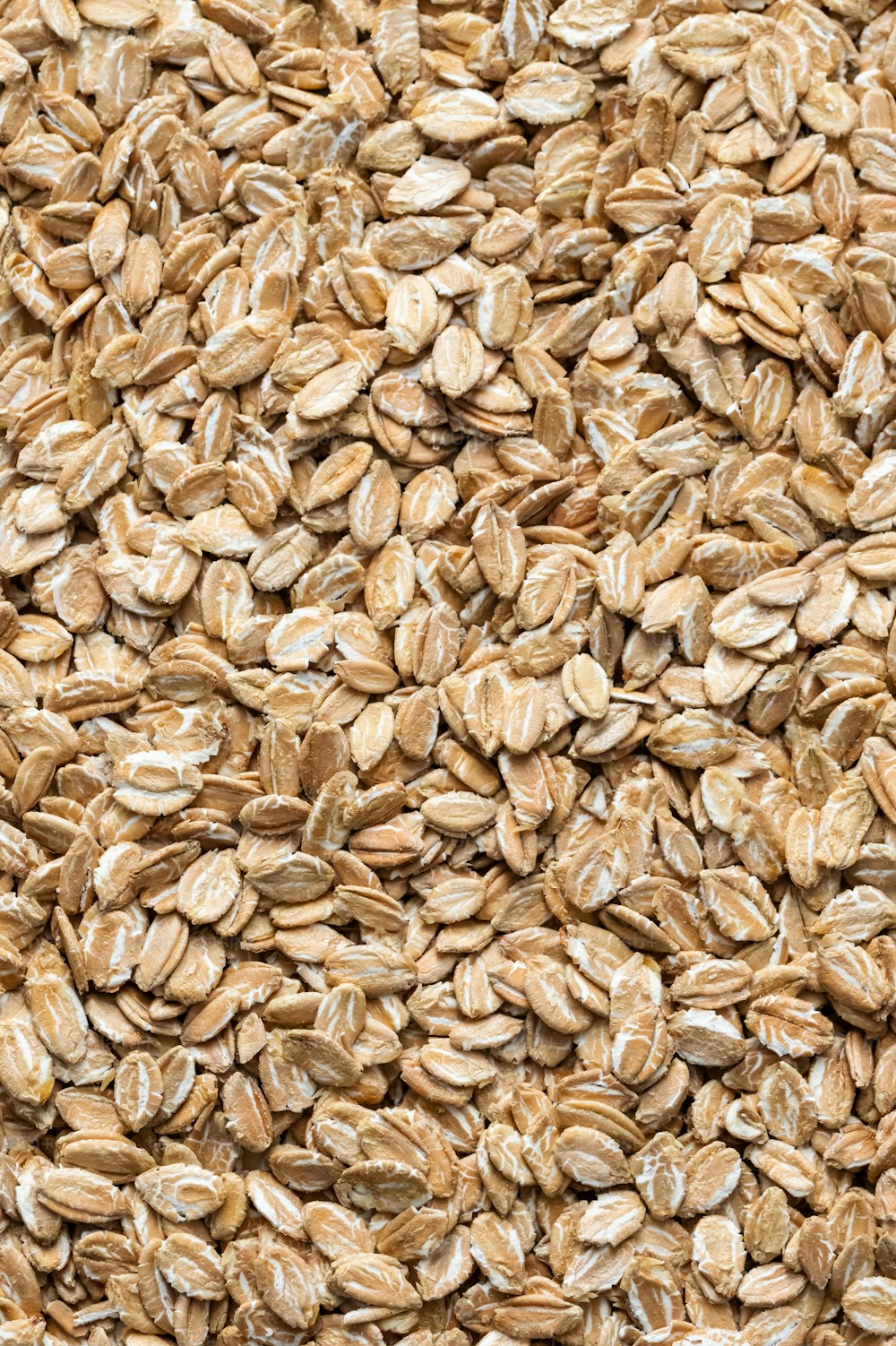 a close up of a pile of oats