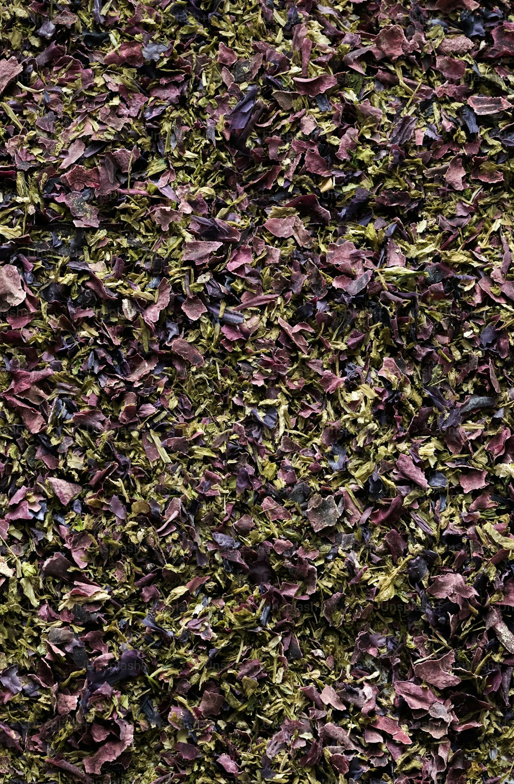 Un primer plano de un ramo de flores púrpuras y verdes