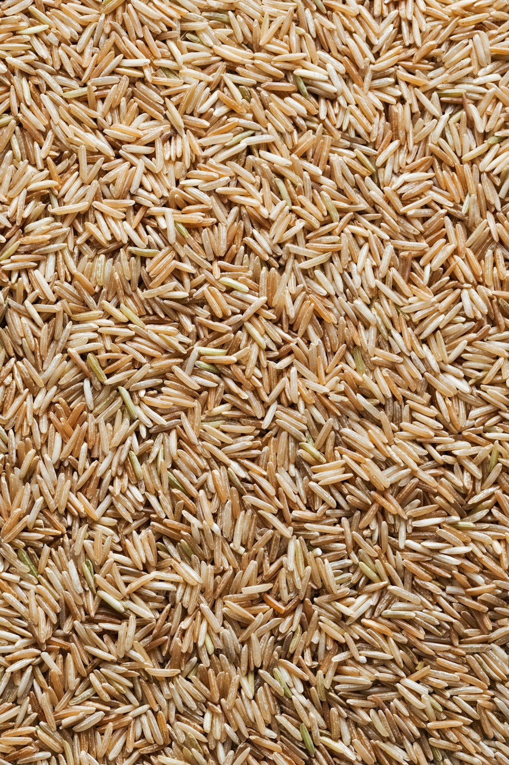 Gros plan d’un tas de riz brun