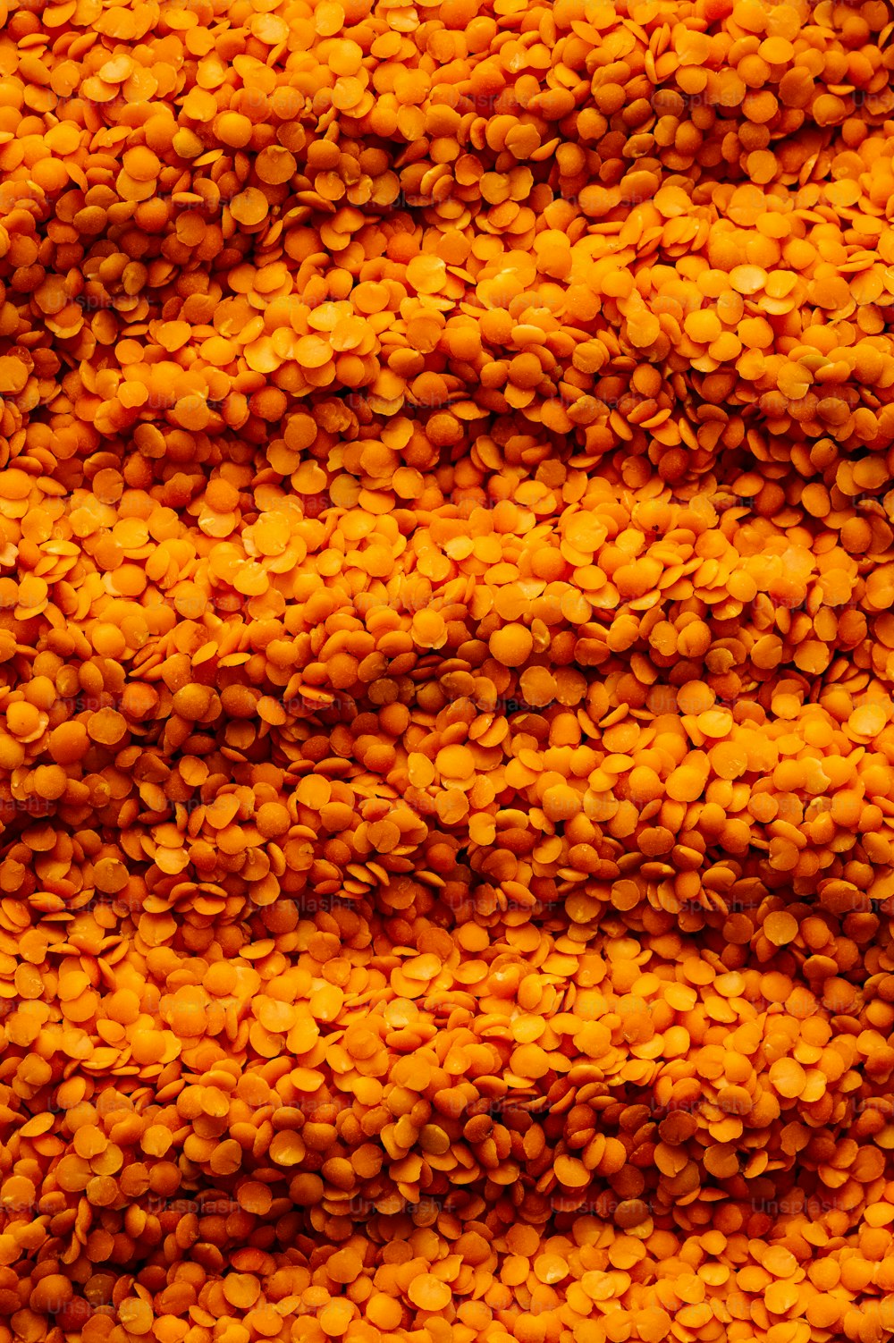 a close up view of a bunch of small yellow objects