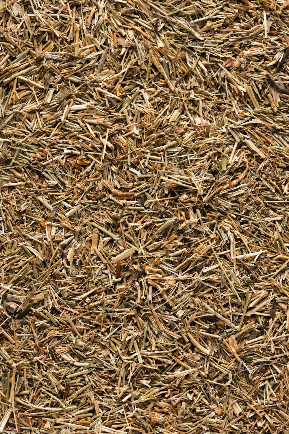 a close up of a pile of dry grass