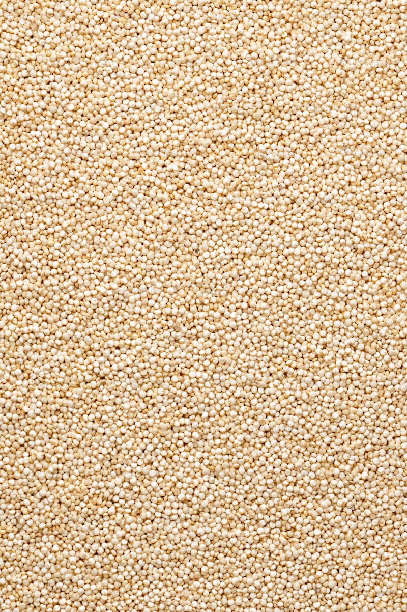 Beneficios de la quinoa que debes conocer - premium_photo-1671130295828-efd9019faee0?w=800&auto=format&fit=crop&q=60&ixlib=rb-4.0