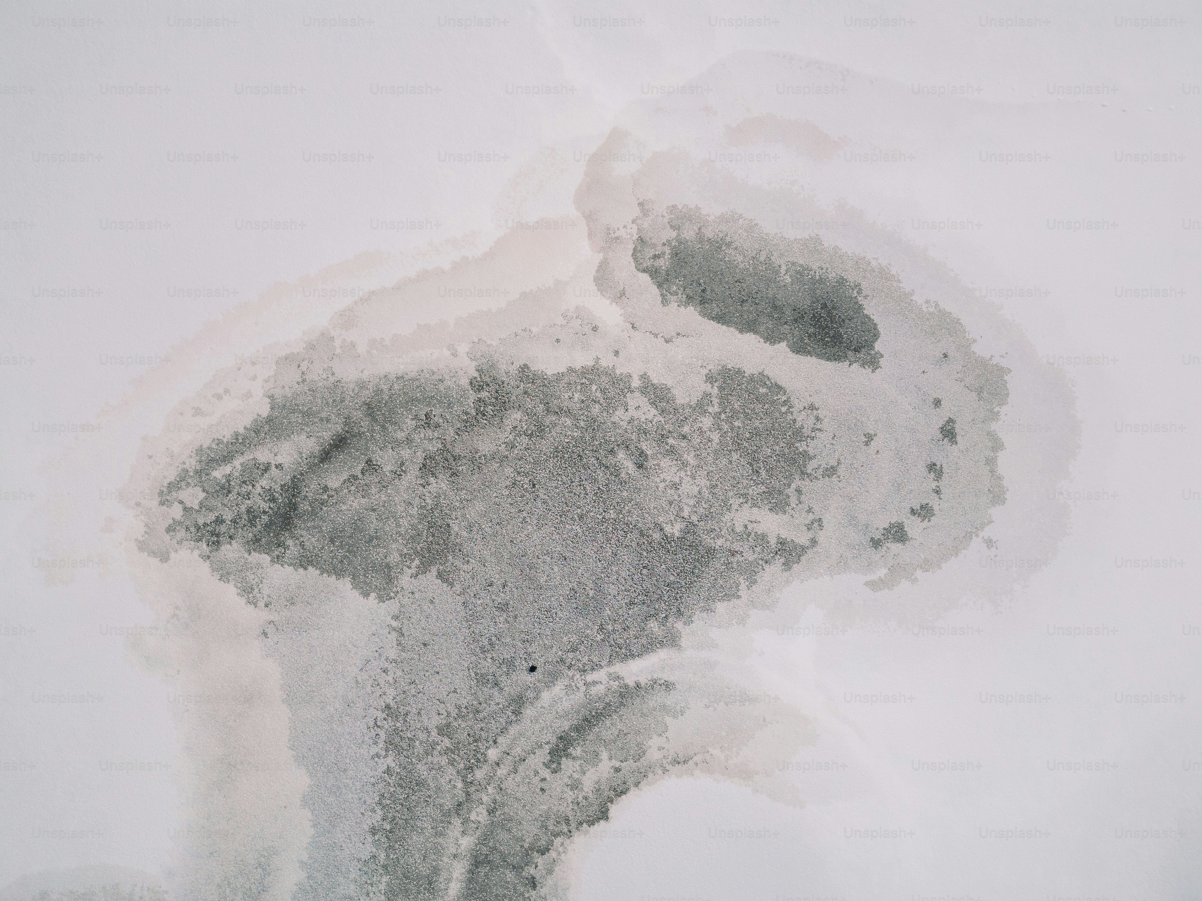 白い背景にたくさんの雪が積もっています