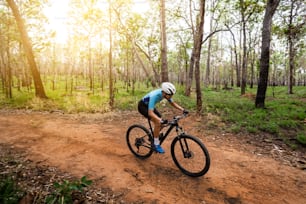 Ciclistas de montaña entrenando en el bosque