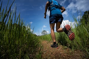Hombres asiáticos corren un sendero en el camino natural