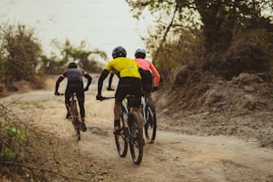 Grupo de ciclistas asiáticos, pedalean por caminos rurales y forestales.