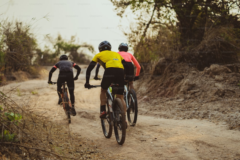 Grupo de ciclistas asiáticos, eles pedalam por estradas rurais e florestais.