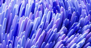 Gros plan d’un tas de brosses à dents bleues et violettes