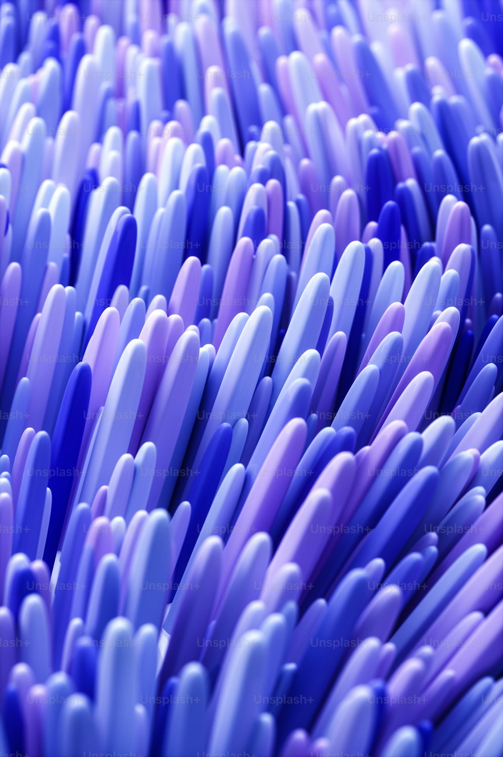 a close up of a bunch of blue and purple toothbrushes