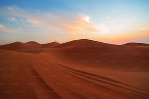 a person standing on top of a sand dune