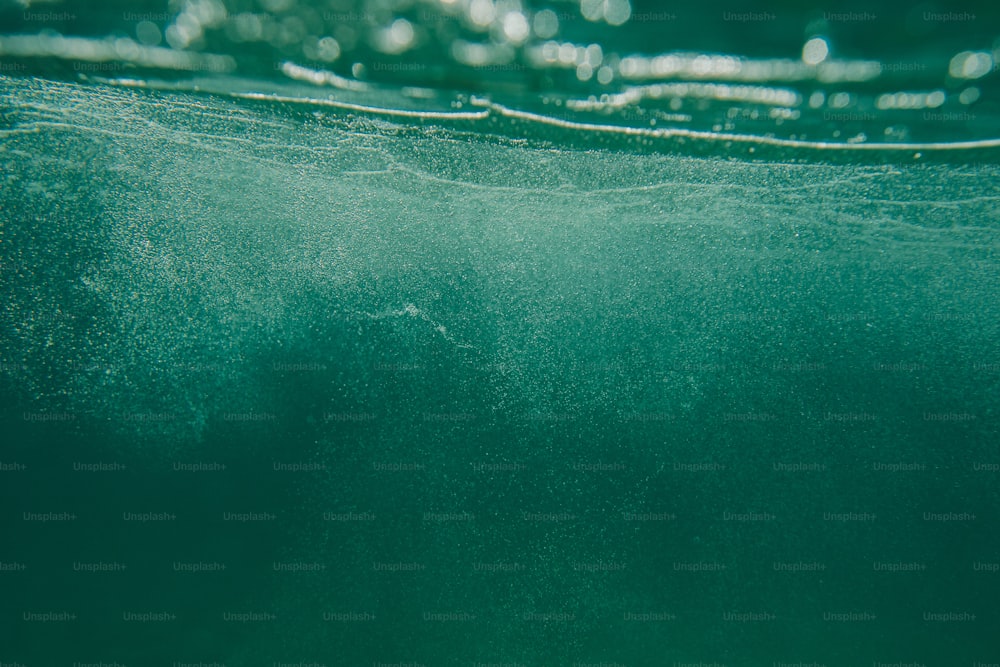 Un primer plano de la superficie del agua de un cuerpo de agua
